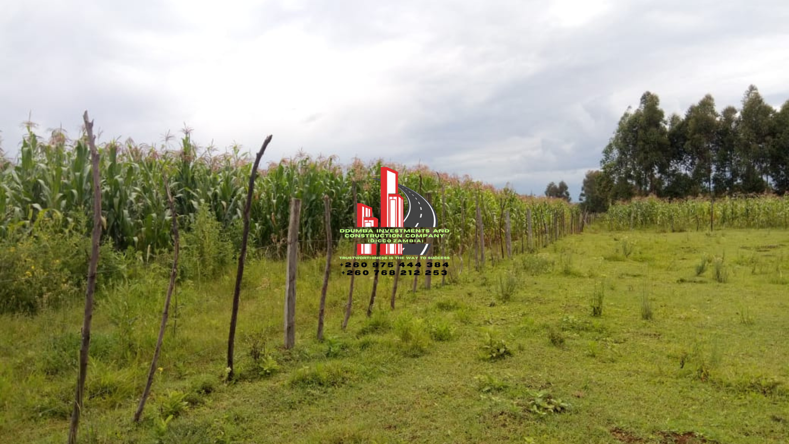 Farming and Trading – Ddumba Investments Services